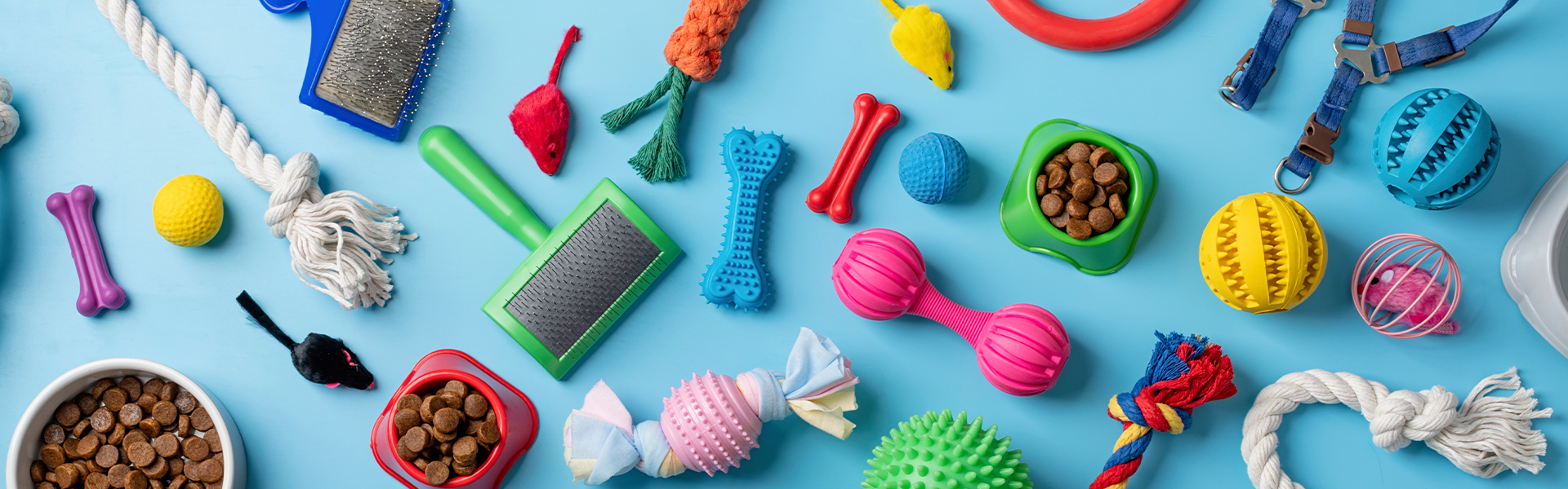 Pamper Your Furry Friends With Pet Accessories From dubizzle