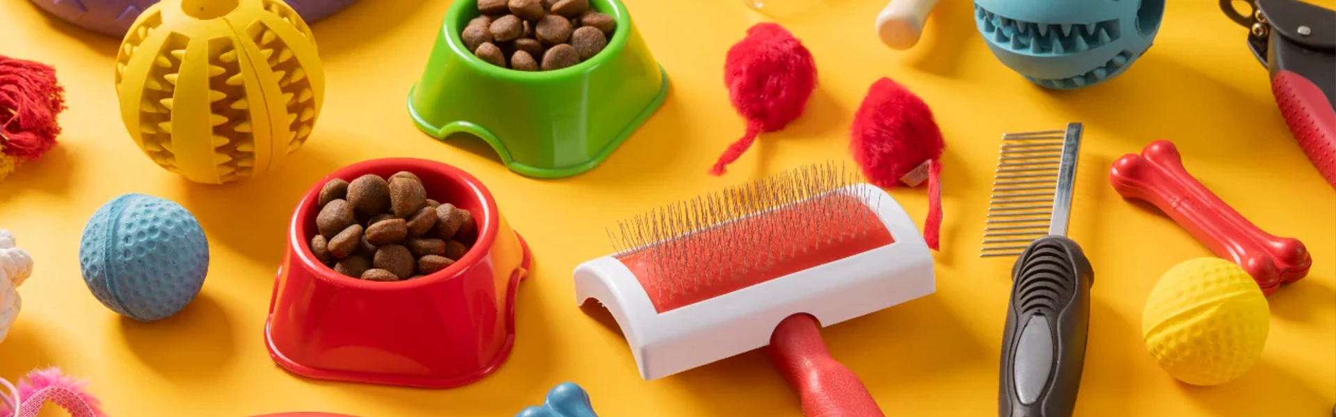 Top 5 Must-Have Pet Accessories to Keep Your Furry Friend Happy