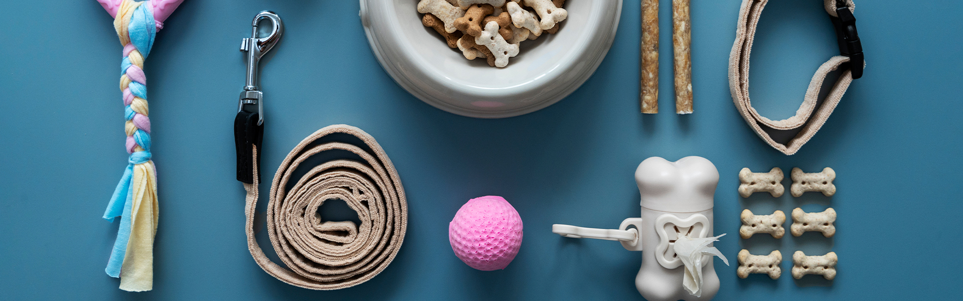 Have Extra Pet Items? Sell Them on dubizzle Lebanon